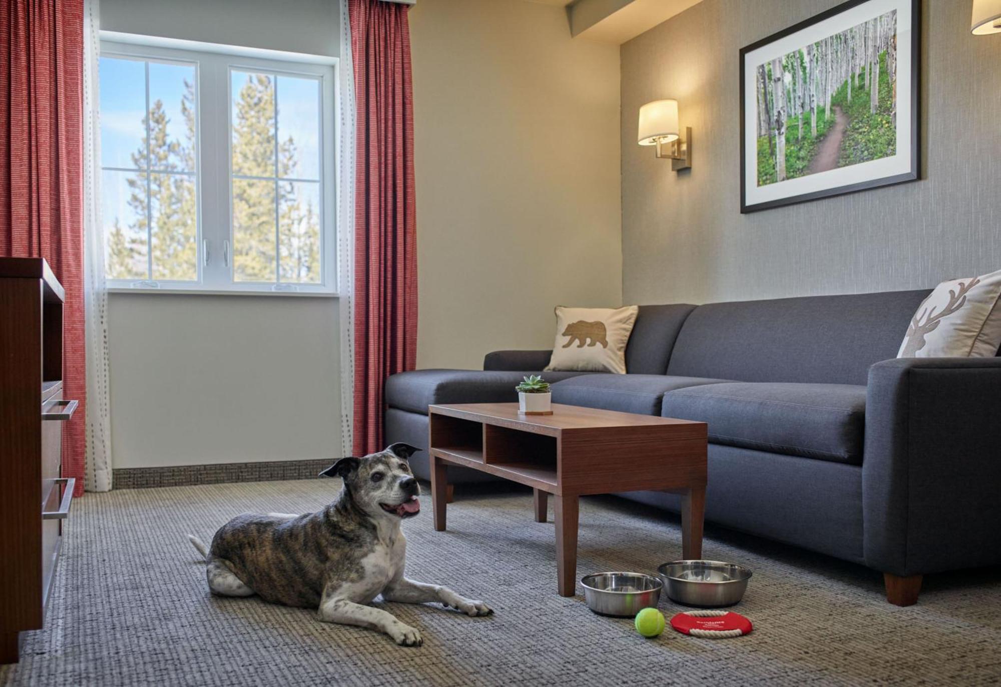 Residence Inn By Marriott Breckenridge Eksteriør bilde